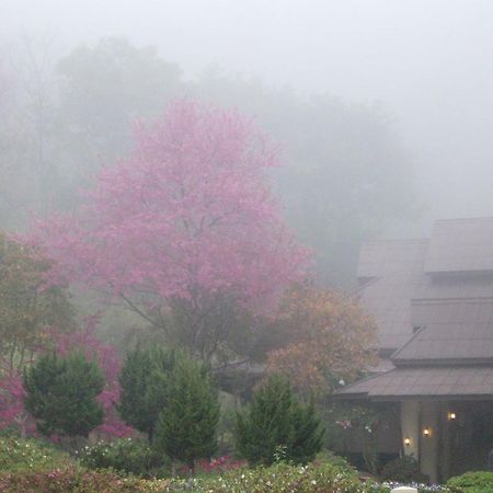 Angkhang Nature Resort Fang Zewnętrze zdjęcie