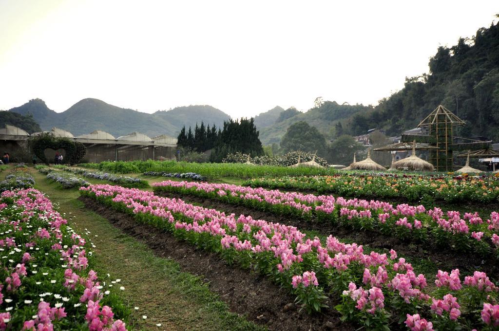 Angkhang Nature Resort Fang Zewnętrze zdjęcie